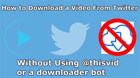 download thisvid|How To Download a Video From Any Website